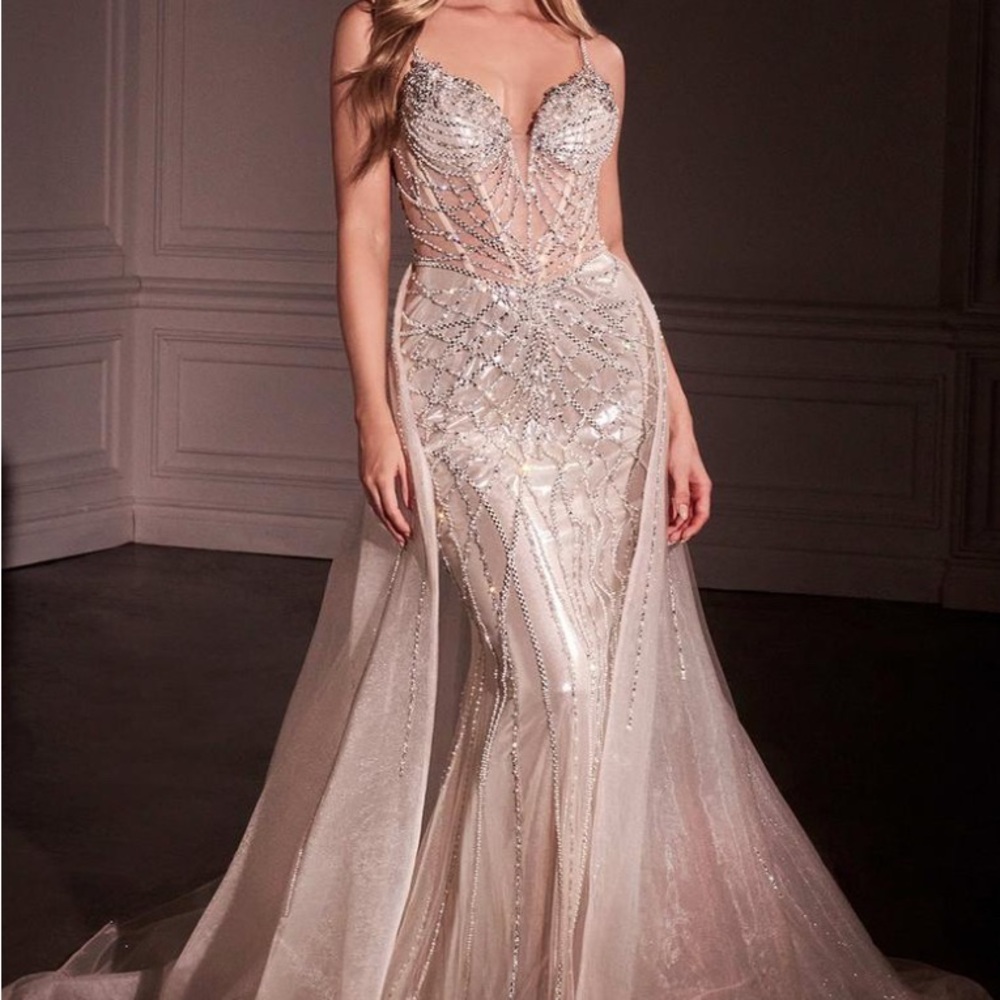 Ladivine Silver Prom Dress (Train Included)